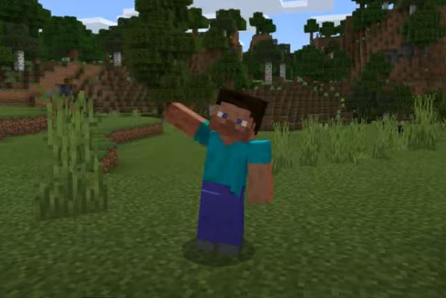 character performing emotes in minecraft