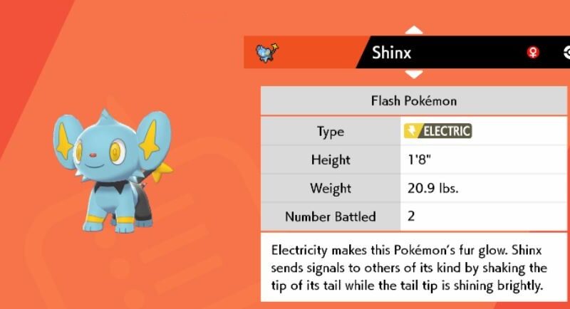 shinx pokemon swords and shield isle of armor