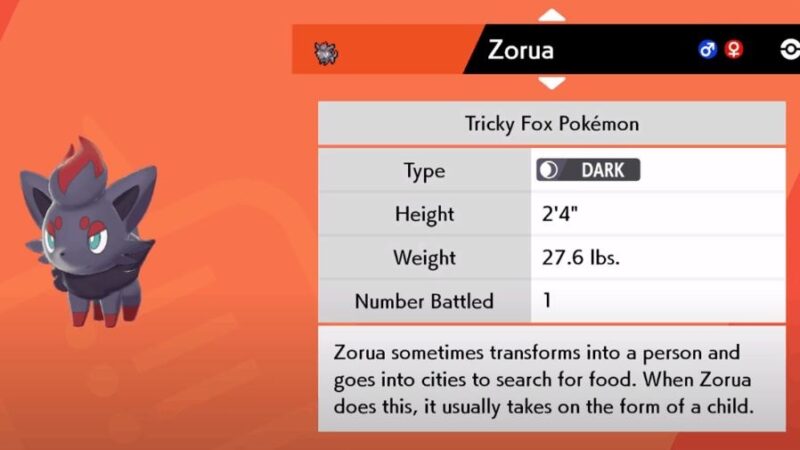 zorua