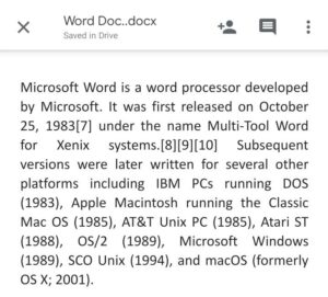 Converted Word Doc in Google Docs