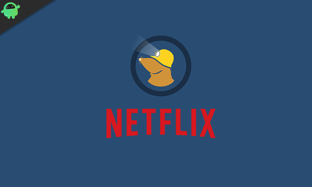 Does Netflix Work With Mullvad VPN