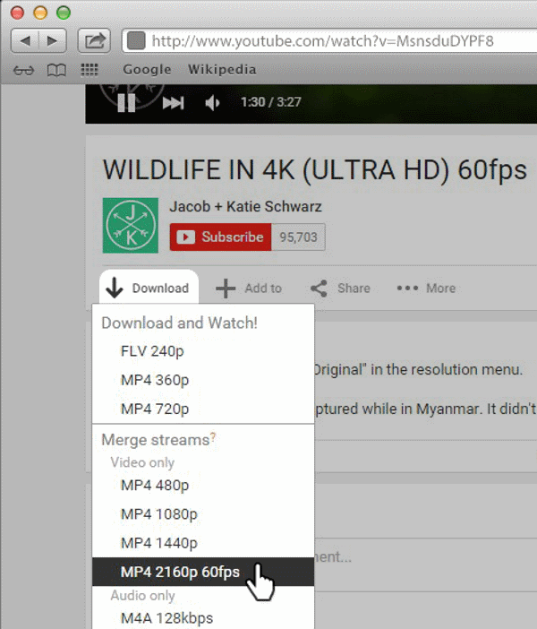 rip embedded video rip embedded video