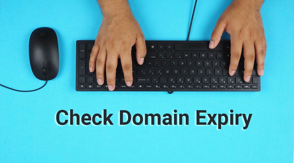 How to Check The Domain Expiry Date