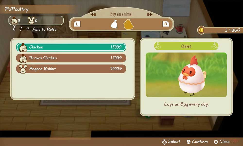 SoS: Friends Of Mineral Town - Buy and Raise Chickens Guide