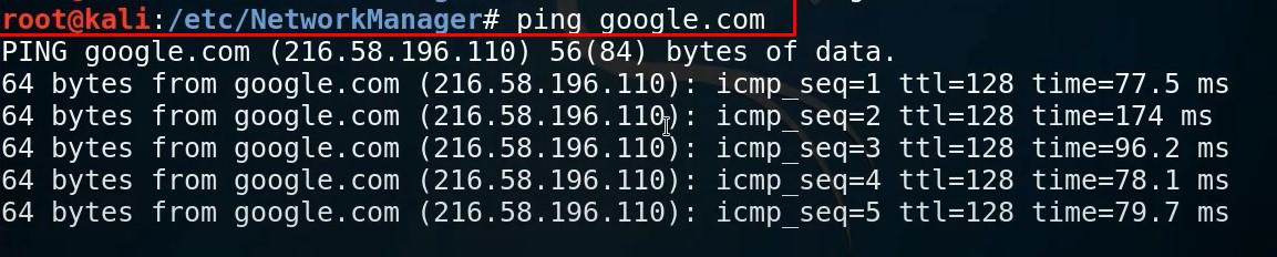 ping google kali linux