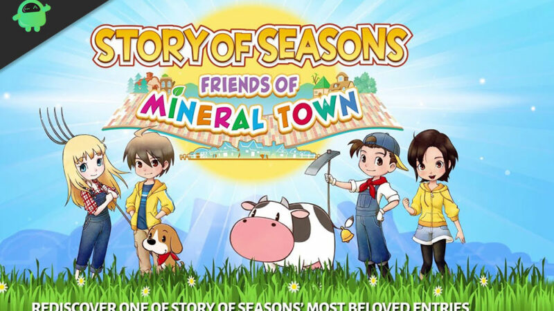 story of seasons friends of mineral town