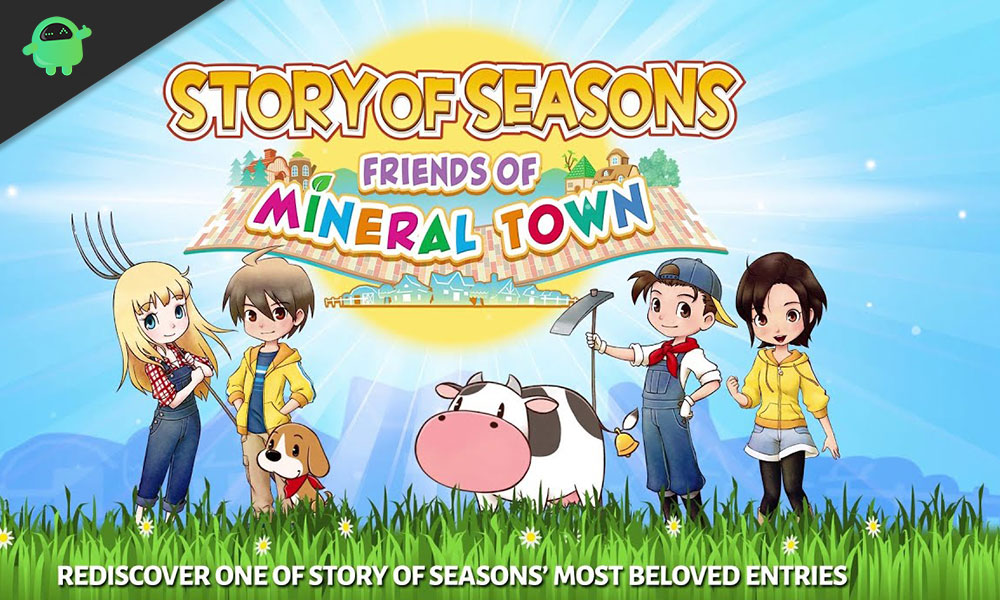 story of seasons friends of mineral town