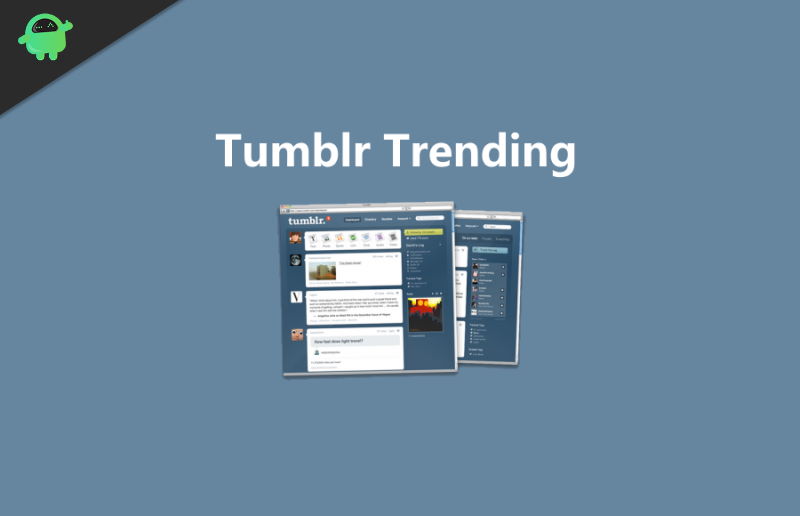 How to Check What’s Trending on Tumblr
