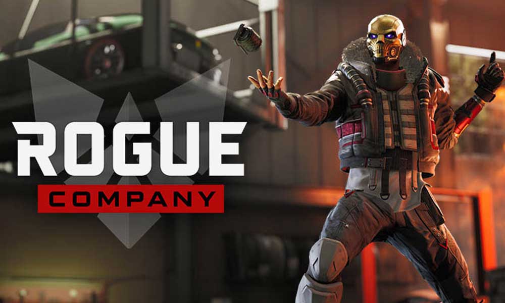 Not Able to Launch Rogue Company: Fix d3dcompiler_47.dll Missing
