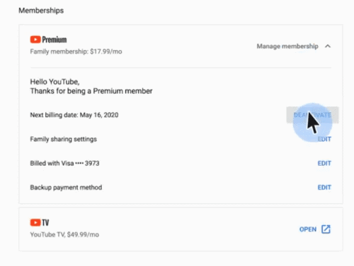 Can We Pause or Stop YouTube Music Premium Membership?