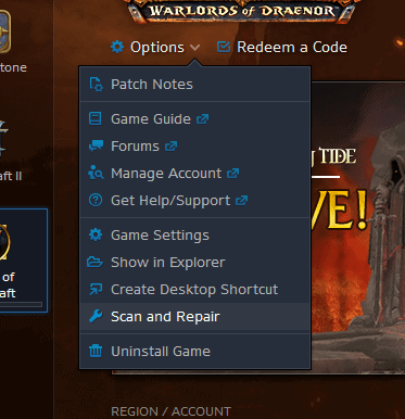 wow battlenet issue 2