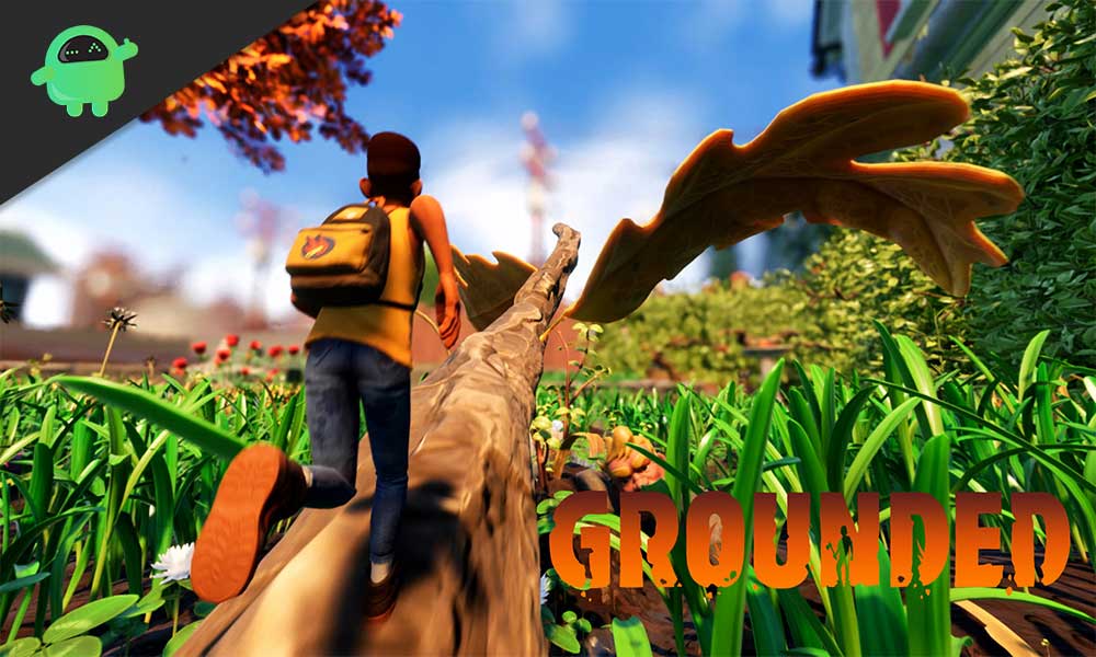 Does Grounded Support CrossPlatform And Crossplay?
