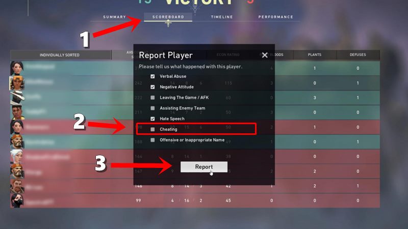 report player