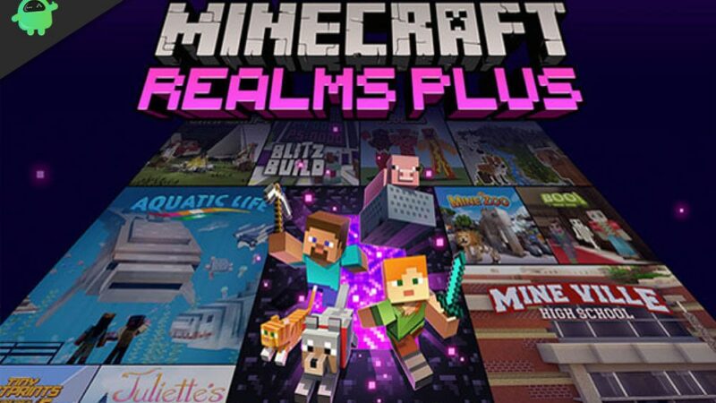 Minecraft Realms