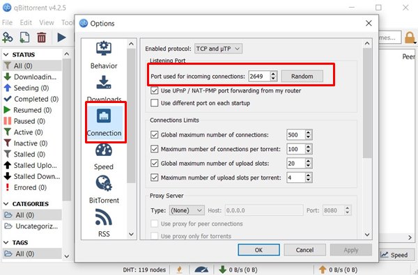 QBittorrent Settings port forward