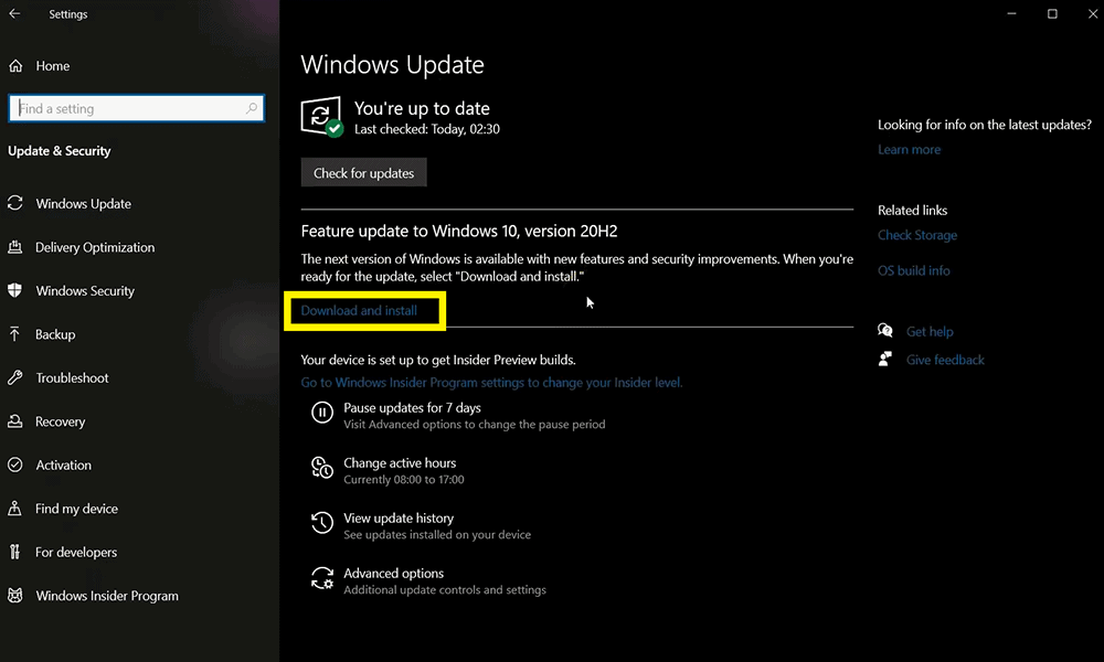 How to update and install windows 10 20H2?
