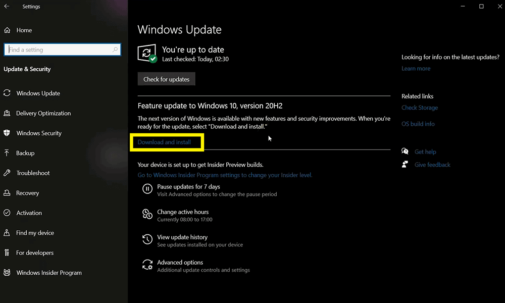 How To Update And Install Windows 10 20h2