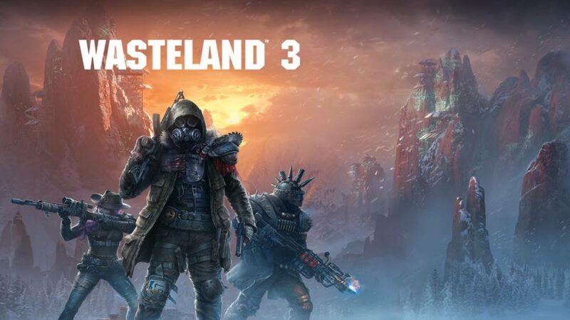 Wasteland 3 common problems workaround