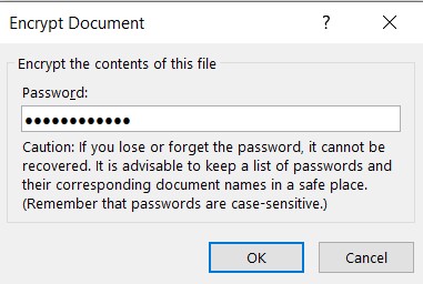encrypt word document