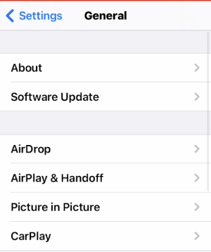 Теперь приостановите FaceTime на iOS 14 и iPadOS 14