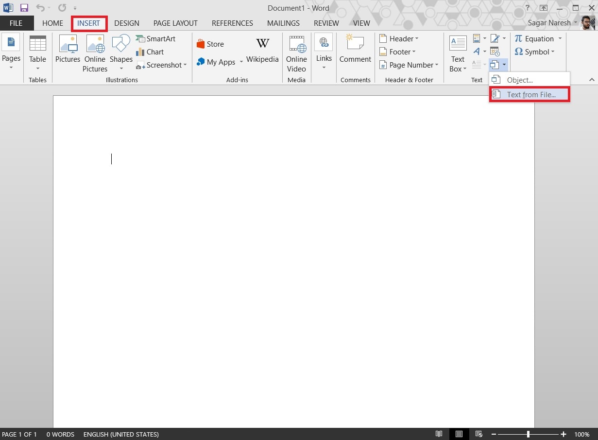 microsoft word text from file