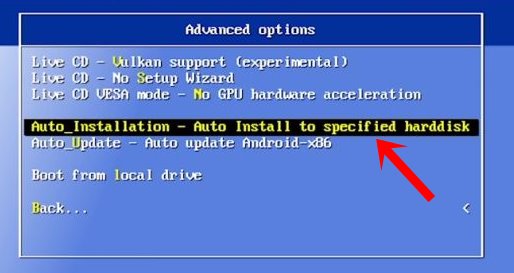 auto install