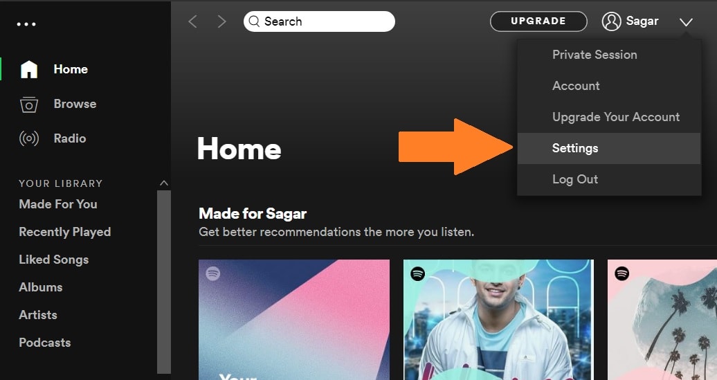 spotify settings