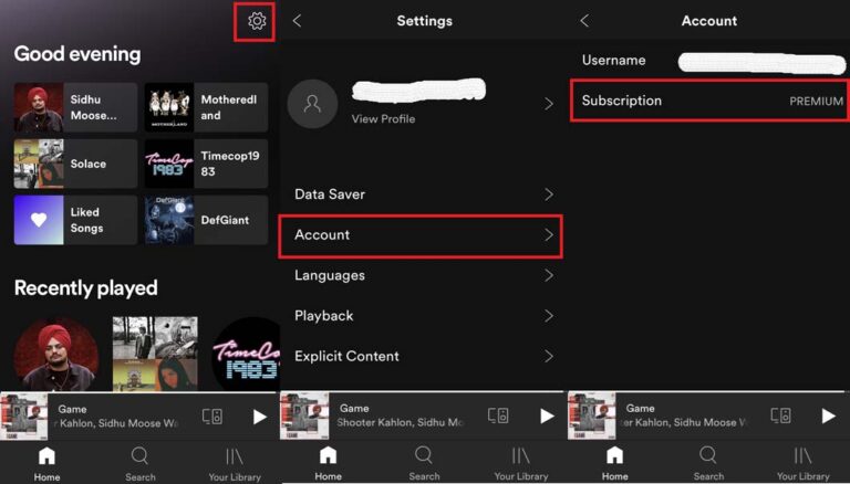 Spotify Premium Subscription Changed to Free: How to Fix? - How Do I Pay For Premium On Spotify