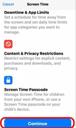 How to Block Any Websites on iPhone or iPad