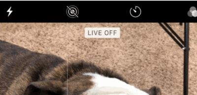 How to Completely Disable Live Photo on iPhone Camera