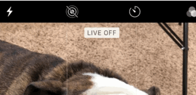 Как полностью отключить Live Photo на камере iPhone