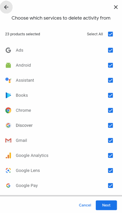 Delete all Activity from Google