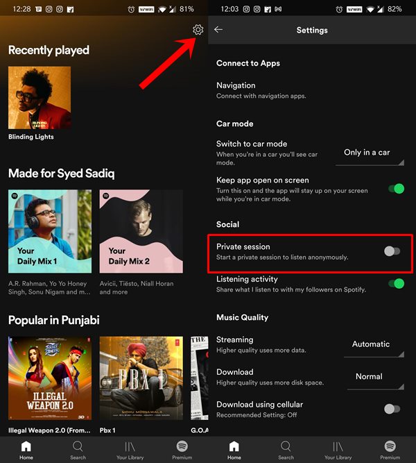 Spotify Private mobile