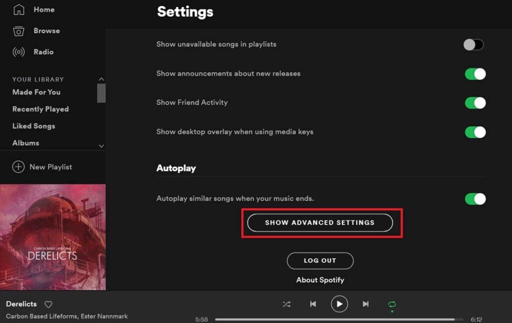Spotify advanced Settings