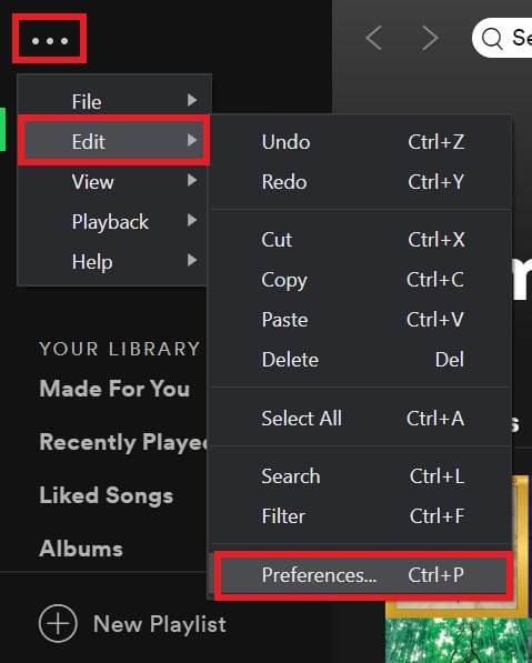 Open Spotify Preferences and Settings