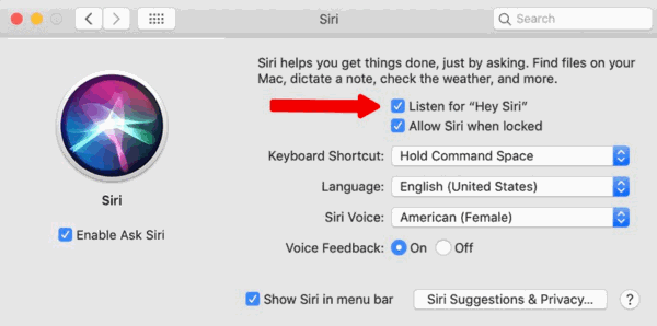  Access Hidden Mac Settings