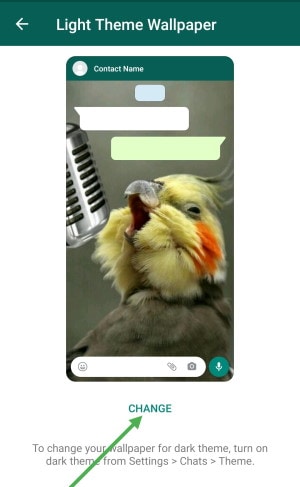 Как выбрать разные обои для чата для светлой и темной темы WhatsApp