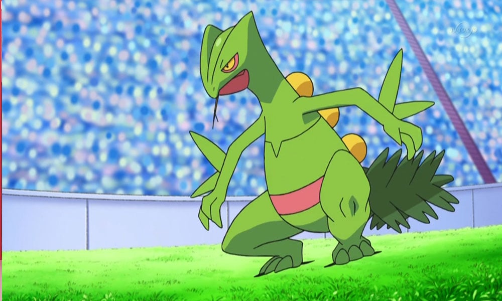 Best Moveset for Sceptile in Pokémon Go