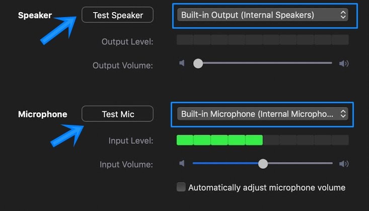 zoom voice-over microphone audio