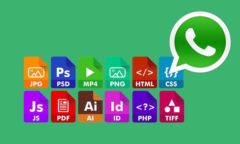 Send Unsupported Files via WhatsApp