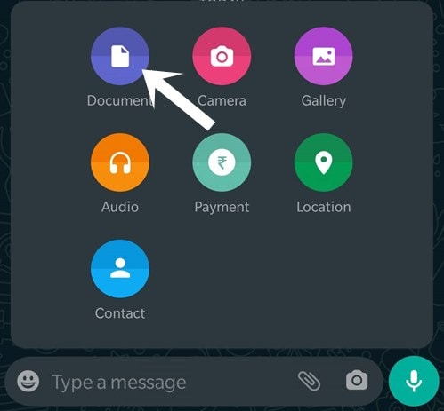 send fie as document whatsapp