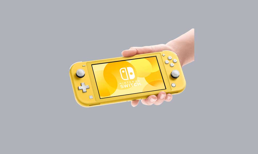 Does Nintendo Switch Lite Support Multiplayer?