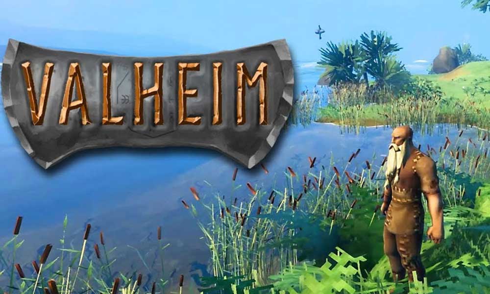 Fix For Valheim Keeps Crashing on PC