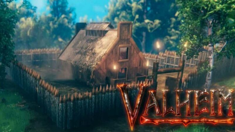 Fix: Valheim Dedicated Server 'disconnected' Error