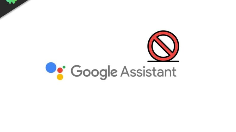 Google Assistant Something Went Wrong