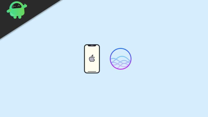 How to Use New Siri Voices in iOS 14.5 or Later | iPhone and iPad