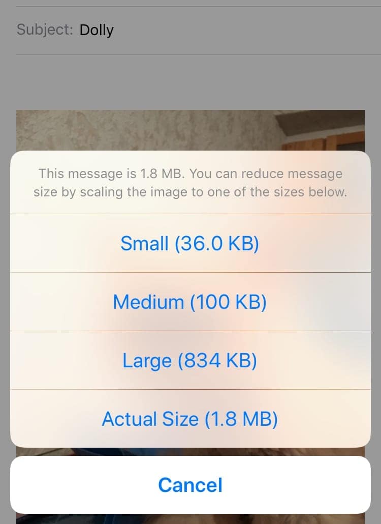 Reduce Photo File Size on iPhone and Mac