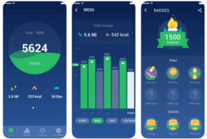 google fit step counter