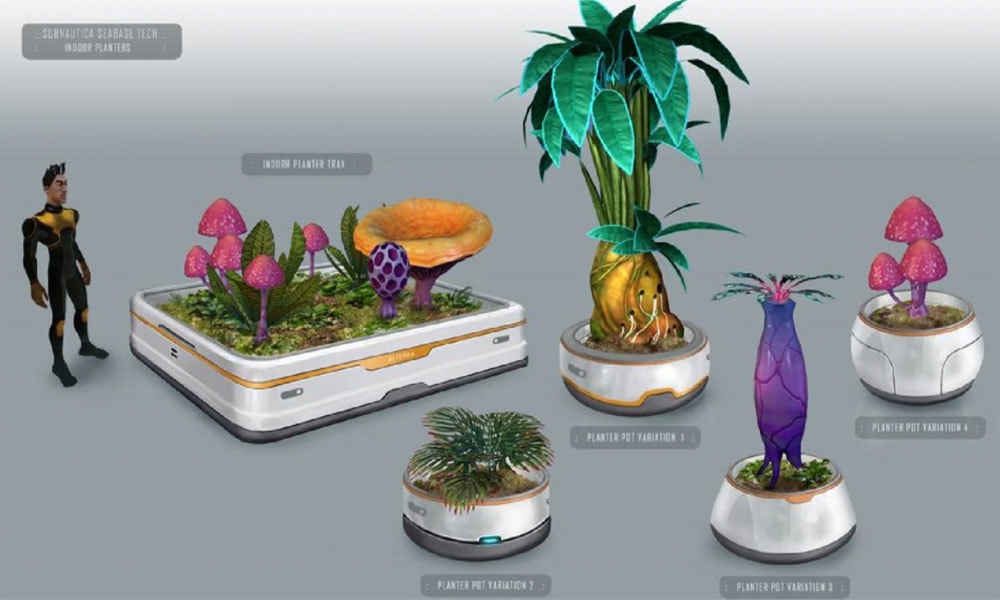 Plants Grow Indoors