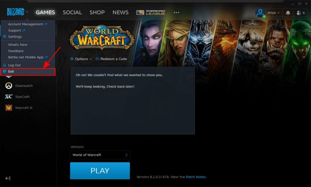 Reset user interface to Fix Blizzard Services Disconnected Error